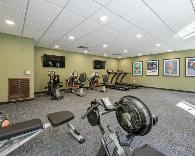 Indoor gym with treadmills, stationary bikes, and a weight bench in a green-walled room.